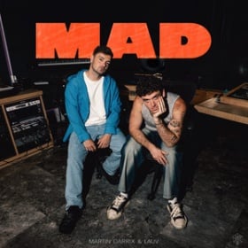 MARTIN GARRIX X LAUV - MAD
